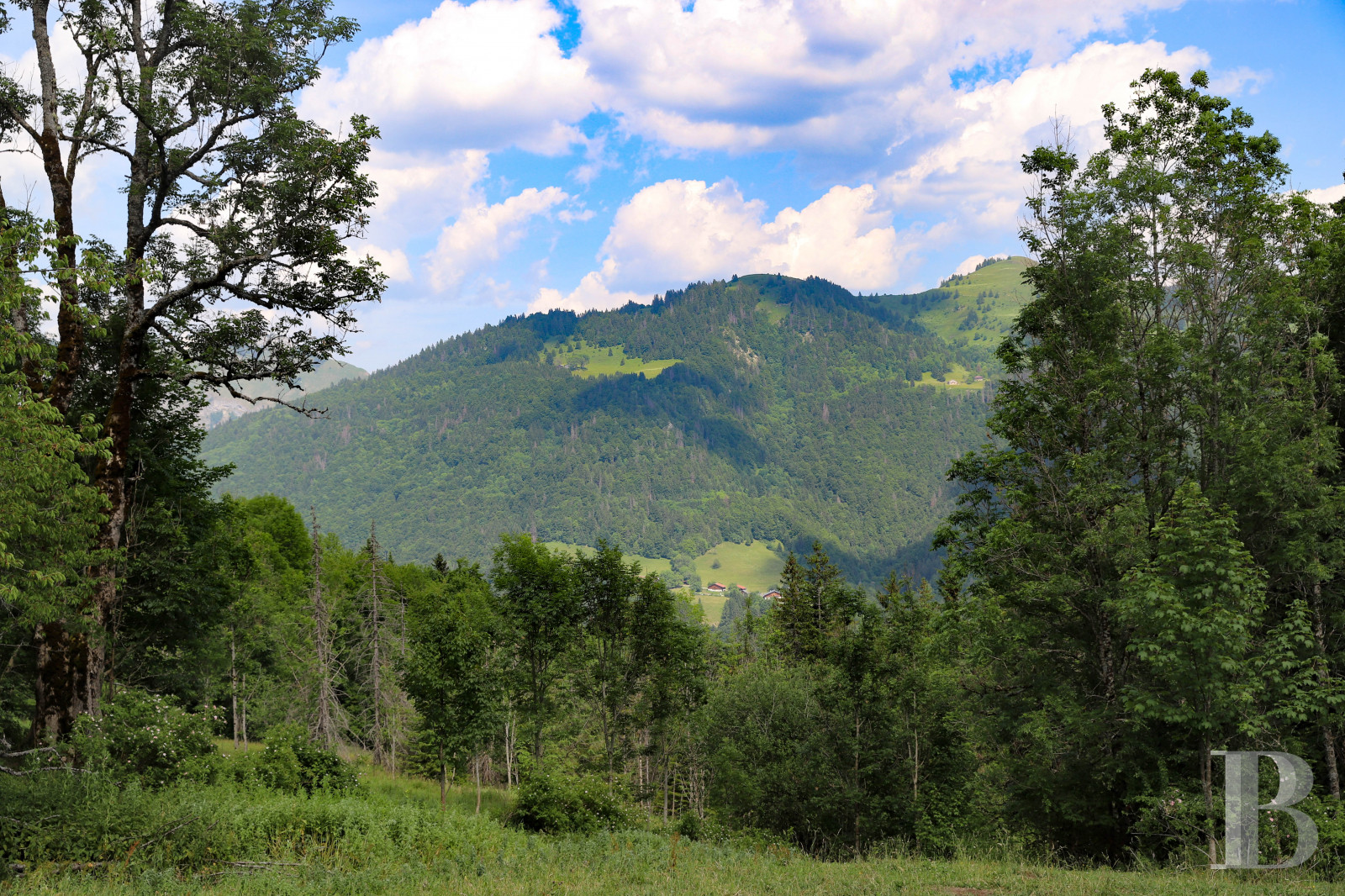 A traditional chalet barn surrounded by alpine pastures in Haute-Savoie, not far from Morzine - photo  n°41
